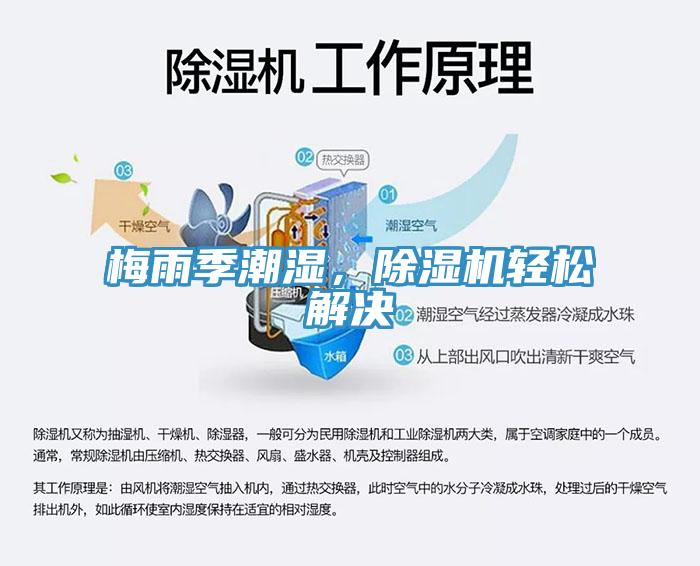 梅雨季潮濕，除濕機(jī)輕松解決