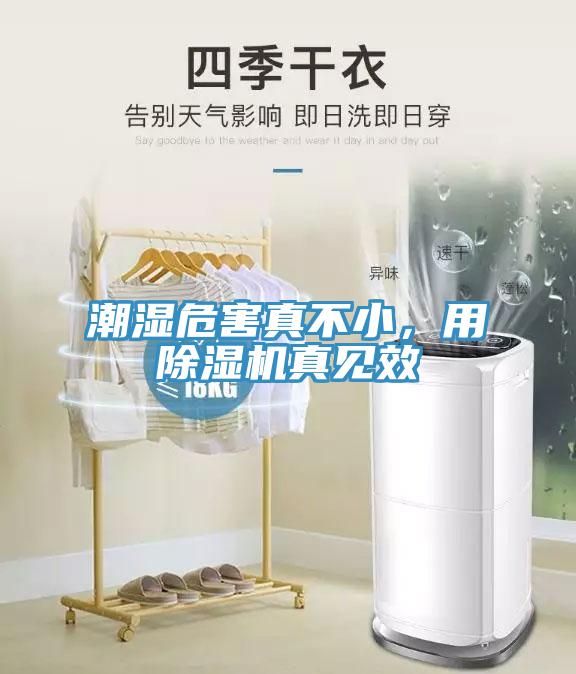 潮濕危害真不小，用除濕機(jī)真見效