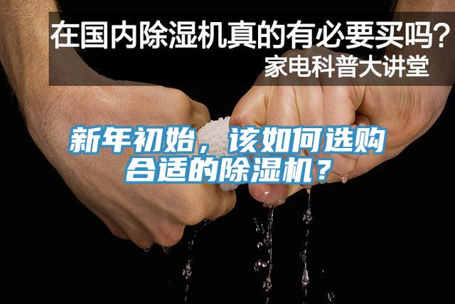 新年初始，該如何選購合適的除濕機？