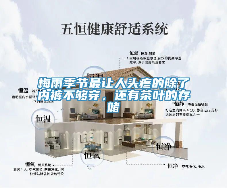 梅雨季節(jié)最讓人頭疼的除了內(nèi)褲不夠穿，還有茶葉的存儲