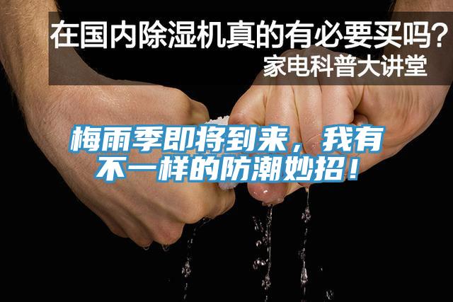梅雨季即將到來，我有不一樣的防潮妙招！