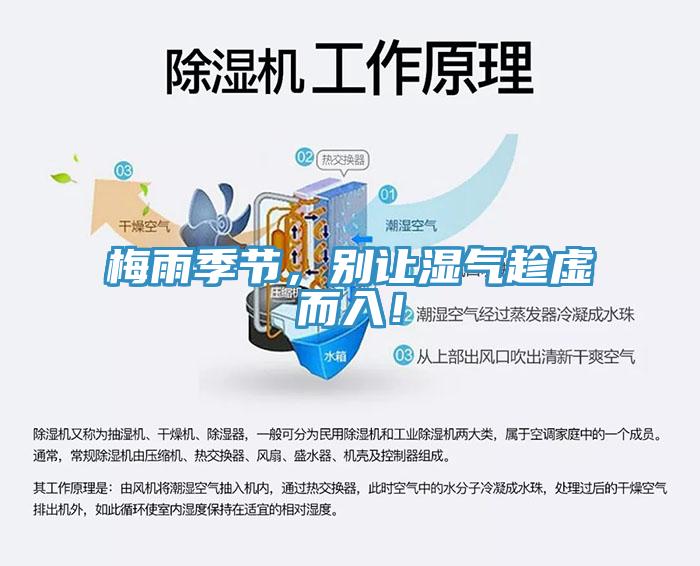 梅雨季節(jié)，別讓濕氣趁虛而入！
