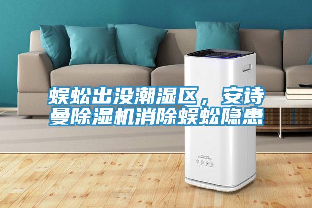 蜈蚣出沒潮濕區(qū)，安詩曼除濕機消除蜈蚣隱患