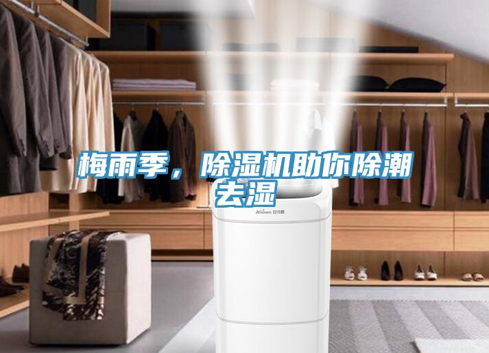 梅雨季，除濕機(jī)助你除潮去濕