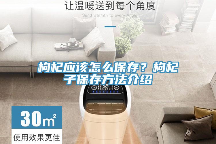 枸杞應(yīng)該怎么保存？枸杞子保存方法介紹