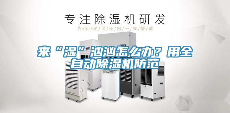來“濕”洶洶怎么辦？用全自動除濕機防范