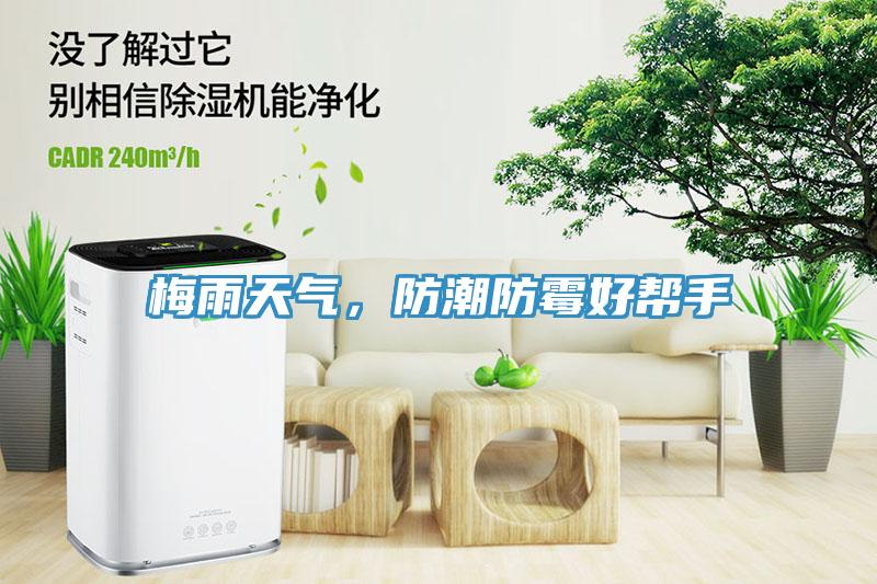 梅雨天氣，防潮防霉好幫手