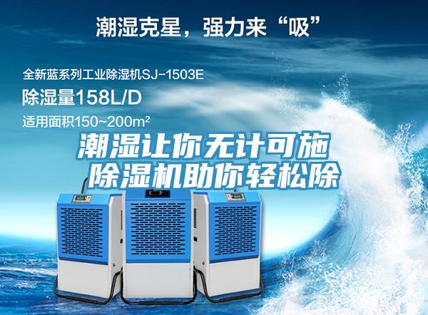 潮濕讓你無計可施 除濕機(jī)助你輕松除
