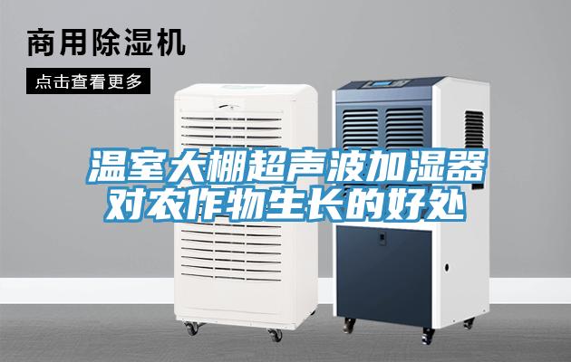 溫室大棚超聲波加濕器對(duì)農(nóng)作物生長的好處