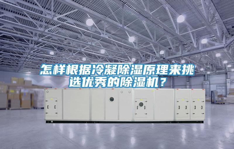 怎樣根據(jù)冷凝除濕原理來挑選優(yōu)秀的除濕機？