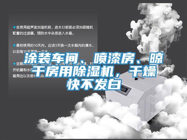 涂裝車間、噴漆房、晾干房用除濕機(jī)，干燥快不發(fā)白