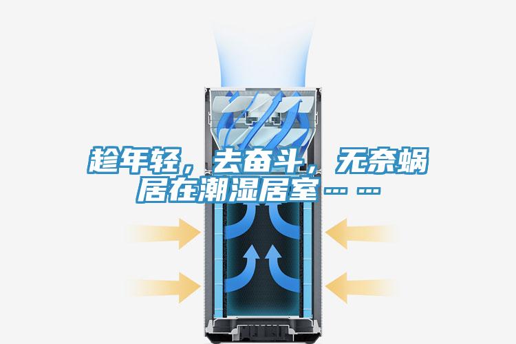 趁年輕，去奮斗，無奈蝸居在潮濕居室……