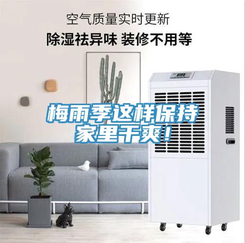 梅雨季這樣保持家里干爽！