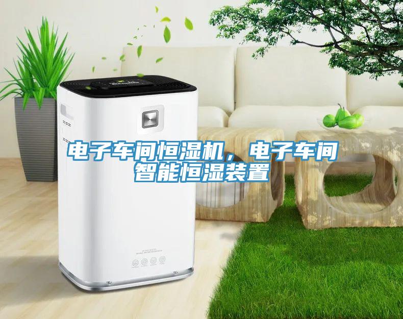 電子車間恒濕機(jī)，電子車間智能恒濕裝置
