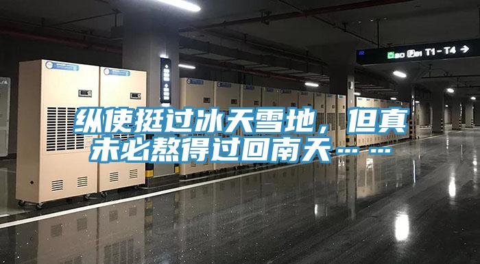 縱使挺過冰天雪地，但真未必熬得過回南天……