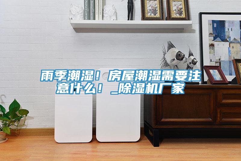 雨季潮濕！房屋潮濕需要注意什么！_除濕機廠家
