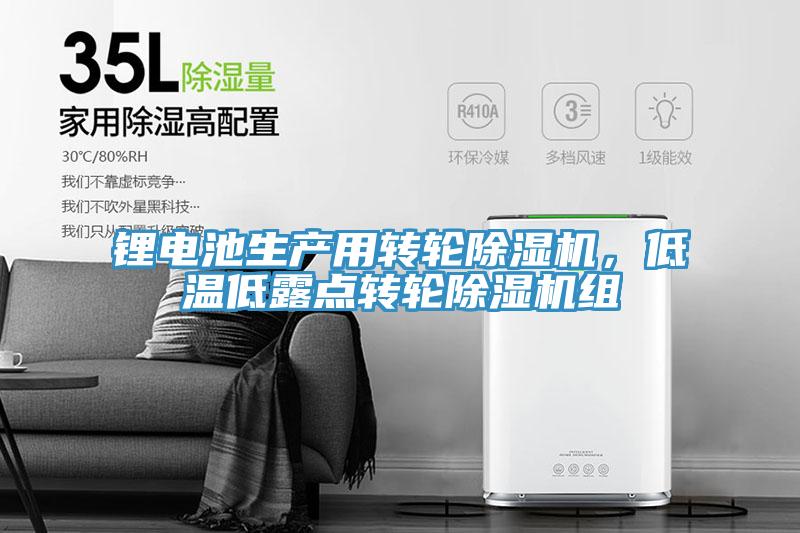 鋰電池生產(chǎn)用轉(zhuǎn)輪除濕機(jī)，低溫低露點轉(zhuǎn)輪除濕機(jī)組