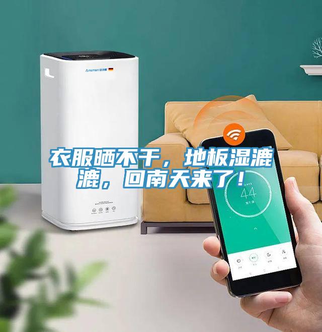 衣服曬不干，地板濕漉漉，回南天來了！