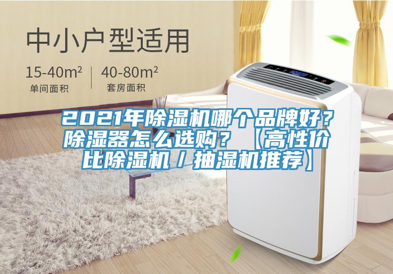 2021年除濕機(jī)哪個(gè)品牌好？除濕器怎么選購(gòu)？【高性價(jià)比除濕機(jī)／抽濕機(jī)推薦】