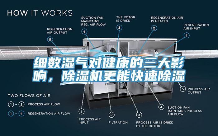 細(xì)數(shù)濕氣對健康的三大影響，除濕機更能快速除濕