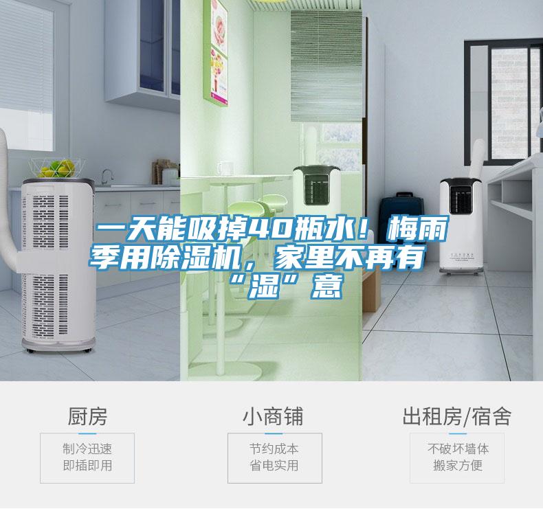 一天能吸掉40瓶水！梅雨季用除濕機(jī)，家里不再有“濕”意