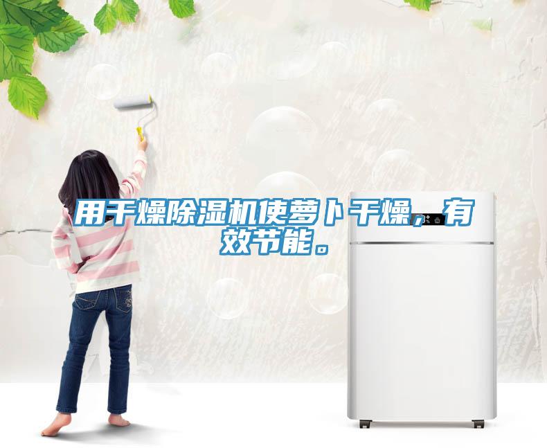 用干燥除濕機使蘿卜干燥，有效節(jié)能。