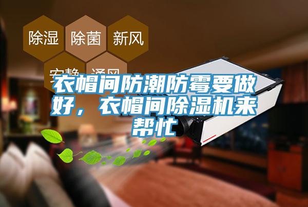 衣帽間防潮防霉要做好，衣帽間除濕機(jī)來幫忙