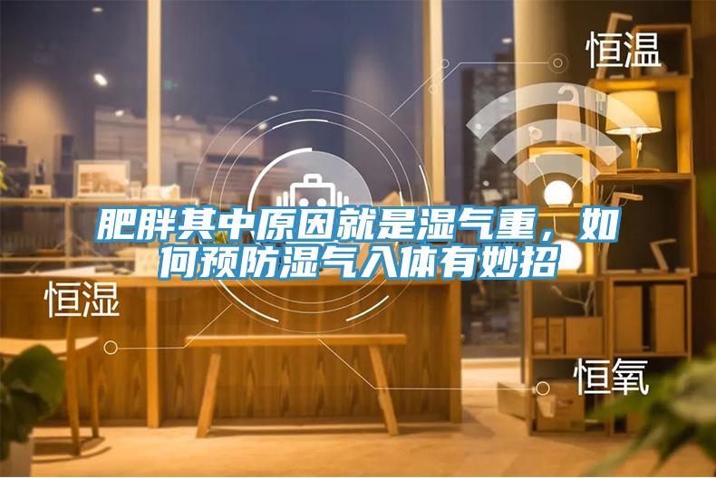 肥胖其中原因就是濕氣重，如何預(yù)防濕氣入體有妙招