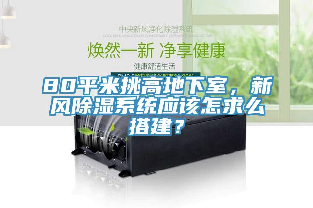 80平米挑高地下室，新風(fēng)除濕系統(tǒng)應(yīng)該怎求么搭建？