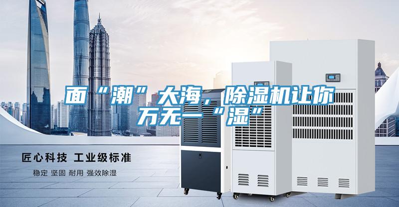 面“潮”大海，除濕機(jī)讓你萬無一“濕”