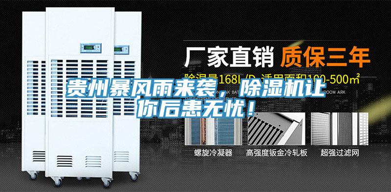 貴州暴風(fēng)雨來襲，除濕機(jī)讓你后患無憂！