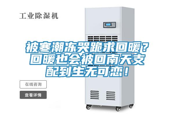 被寒潮凍哭跪求回暖？回暖也會被回南天支配到生無可戀！