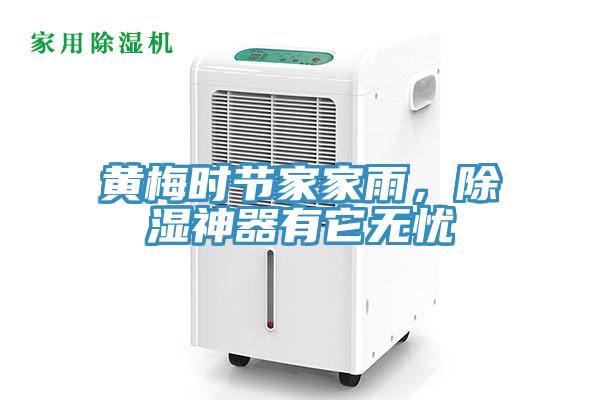 黃梅時(shí)節(jié)家家雨，除濕神器有它無憂
