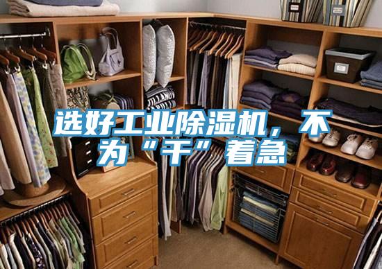 選好工業(yè)除濕機(jī)，不為“干”著急