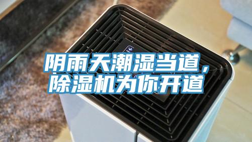 陰雨天潮濕當道，除濕機為你開道