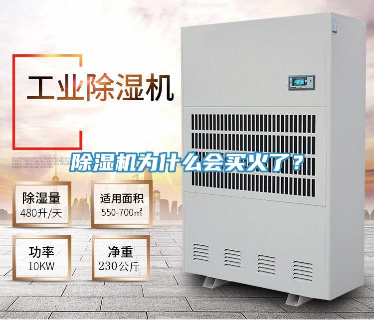 除濕機(jī)為什么會買火了？