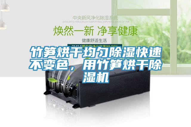 竹筍烘干均勻除濕快速不變色，用竹筍烘干除濕機(jī)