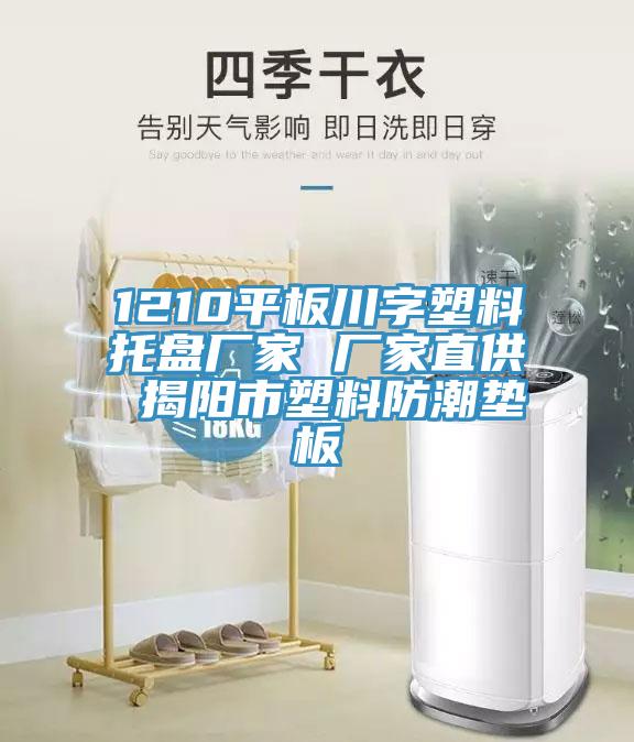 1210平板川字塑料托盤廠家 廠家直供 揭陽(yáng)市塑料防潮墊板