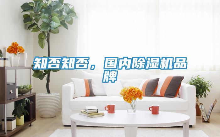 知否知否，國(guó)內(nèi)除濕機(jī)品牌