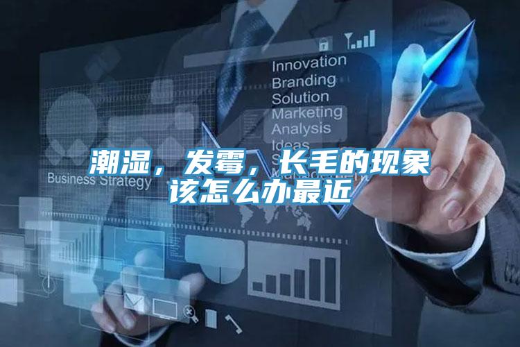 潮濕，發(fā)霉，長毛的現(xiàn)象該怎么辦最近