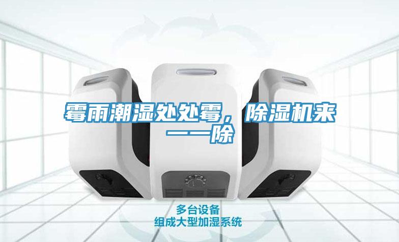 霉雨潮濕處處霉，除濕機(jī)來(lái)一一除