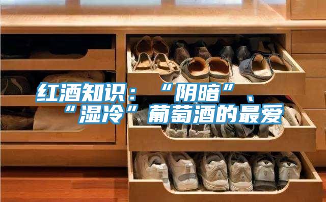 紅酒知識：“陰暗”、“濕冷”葡萄酒的最愛