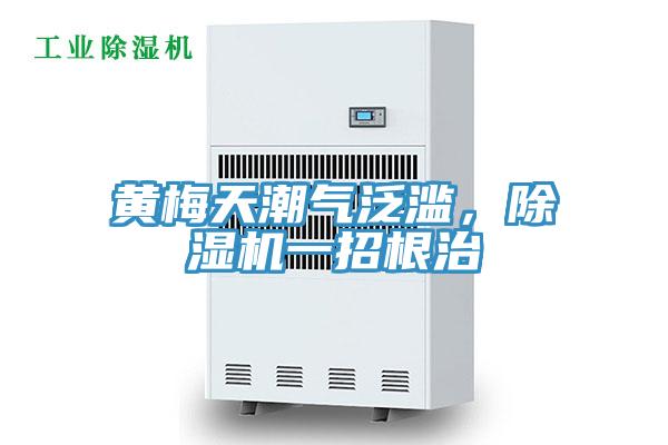 黃梅天潮氣泛濫，除濕機(jī)一招根治