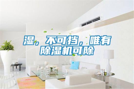 濕，不可擋，唯有除濕機可除