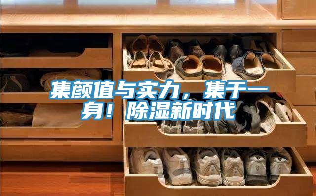 集顏值與實(shí)力，集于一身！除濕新時(shí)代