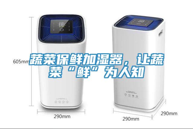 蔬菜保鮮加濕器，讓蔬菜“鮮”為人知