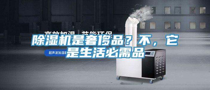 除濕機是奢侈品？不，它是生活必需品