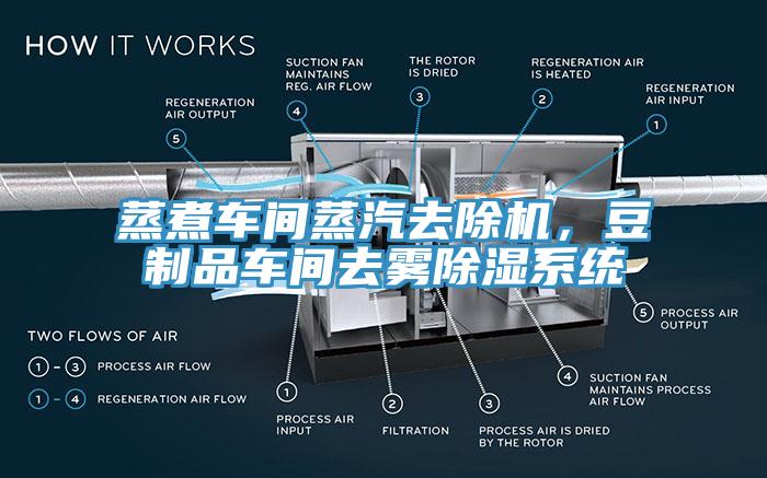蒸煮車間蒸汽去除機，豆制品車間去霧除濕系統(tǒng)