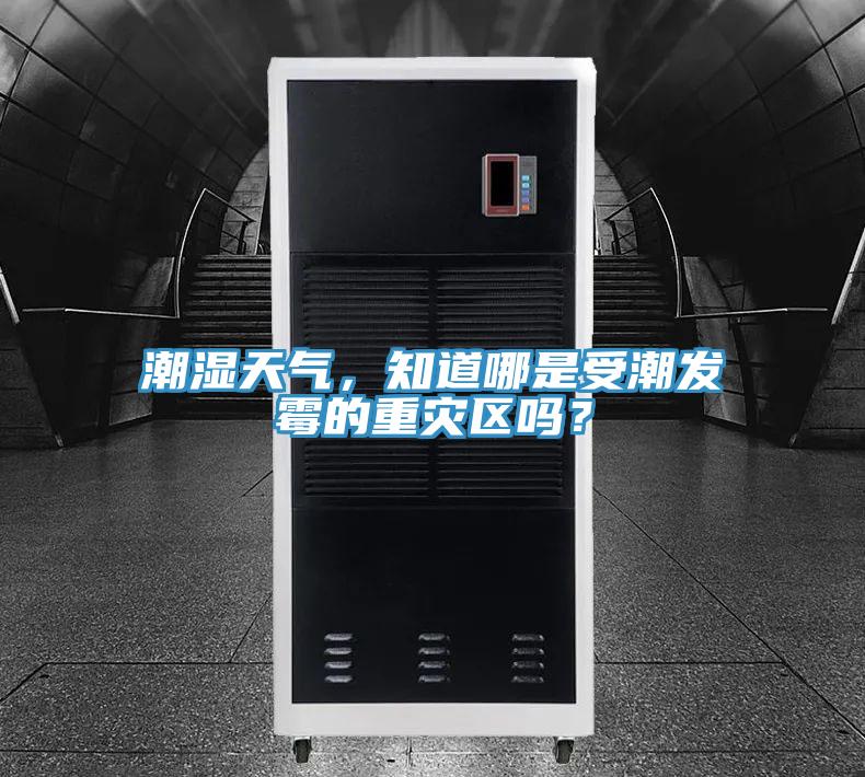 潮濕天氣，知道哪是受潮發(fā)霉的重災(zāi)區(qū)嗎？