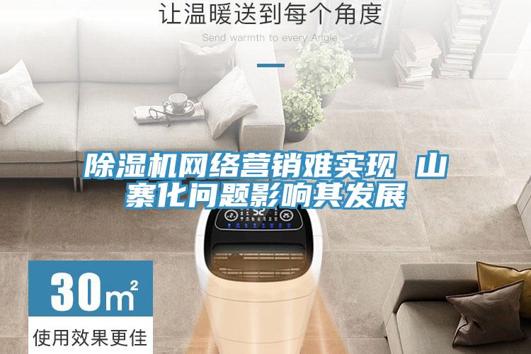 除濕機網(wǎng)絡營銷難實現(xiàn) 山寨化問題影響其發(fā)展